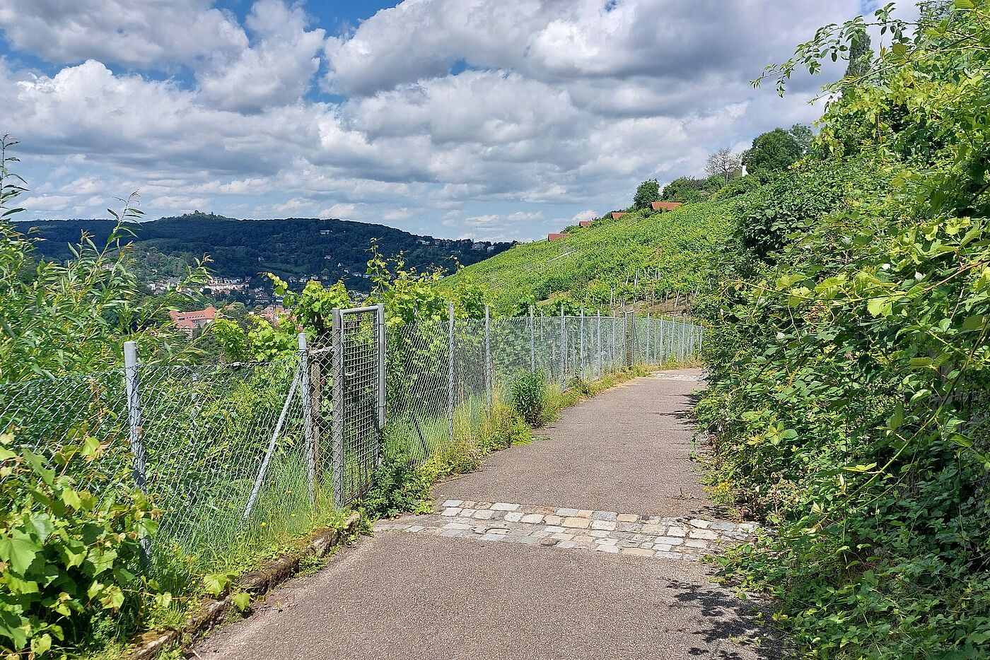 Schimmelhüttenweg